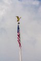 Cimetiere Americain mai 2019 46