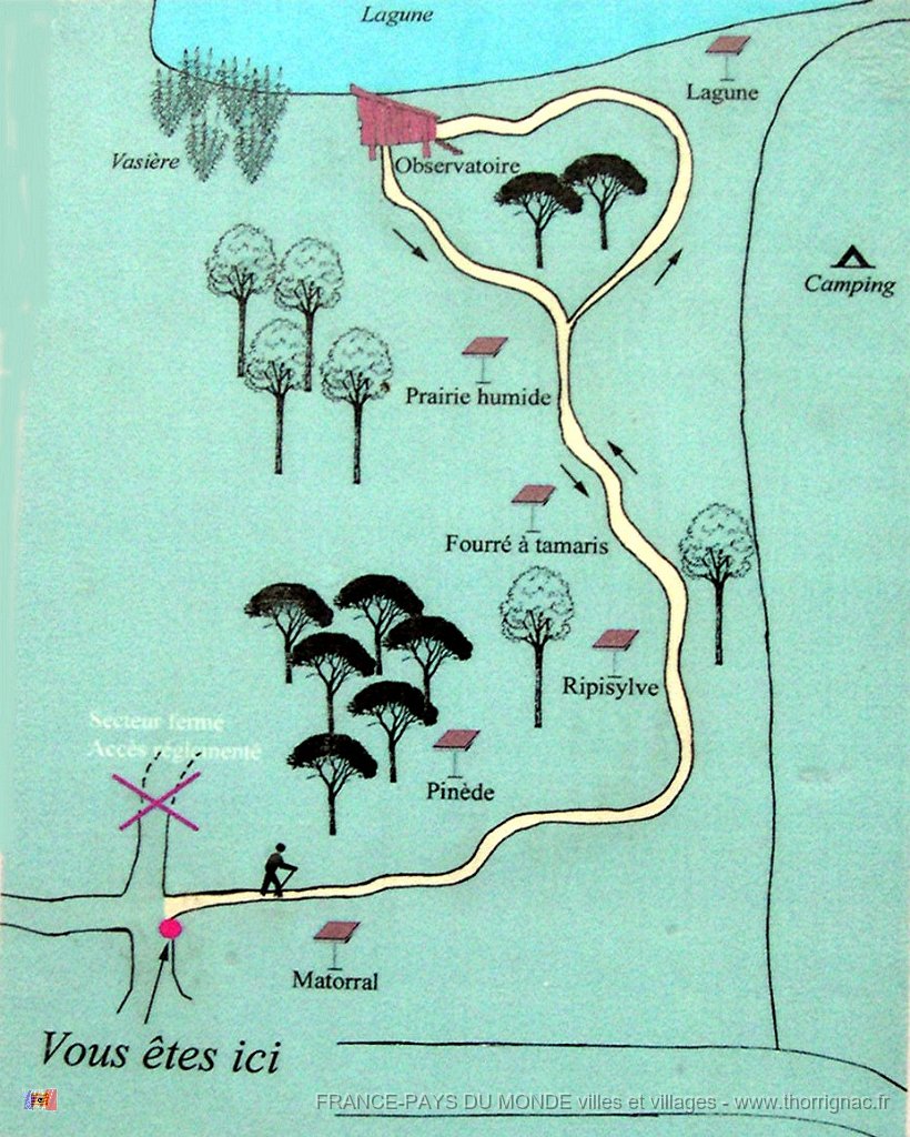 Plan.jpg - Les Etangs de Villepey
