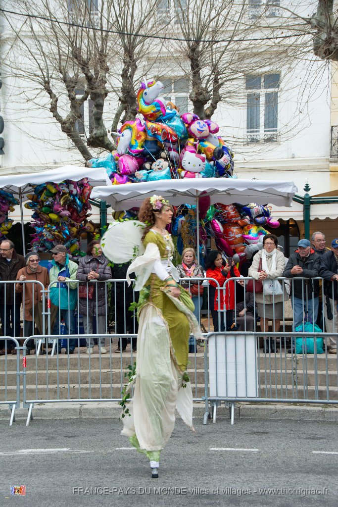 Carnaval Saint Raphael 10 fevrier 2019 22.jpg