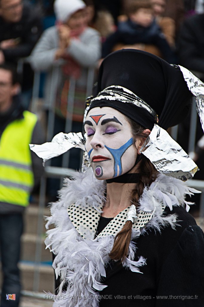 Carnaval Saint Raphael 10 fevrier 2019 3.jpg