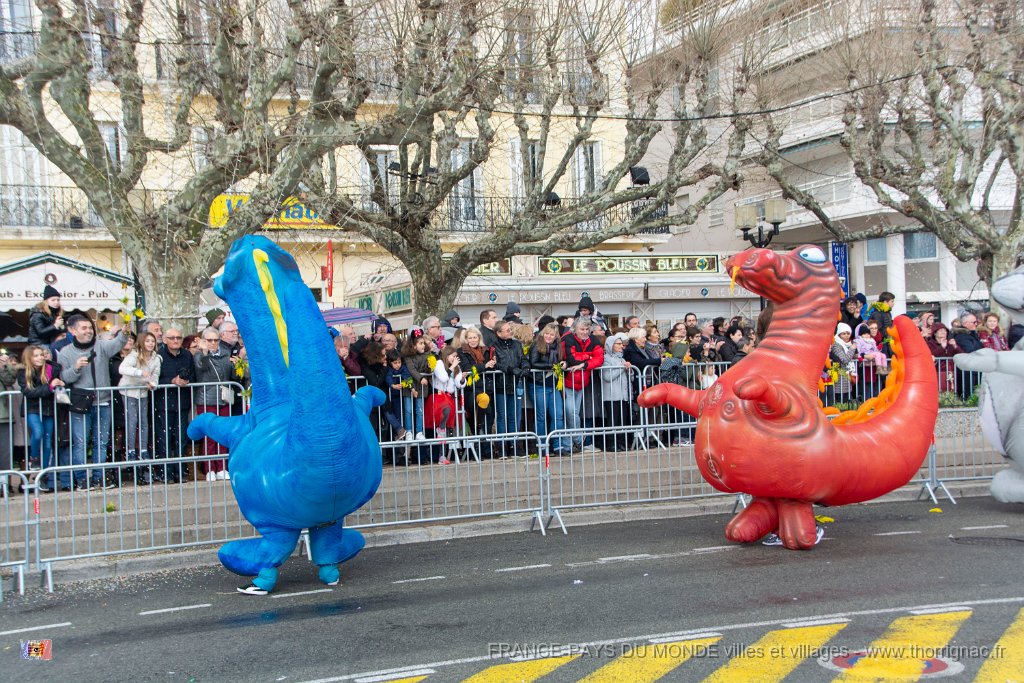 Carnaval Saint Raphael 10 fevrier 2019 37.jpg
