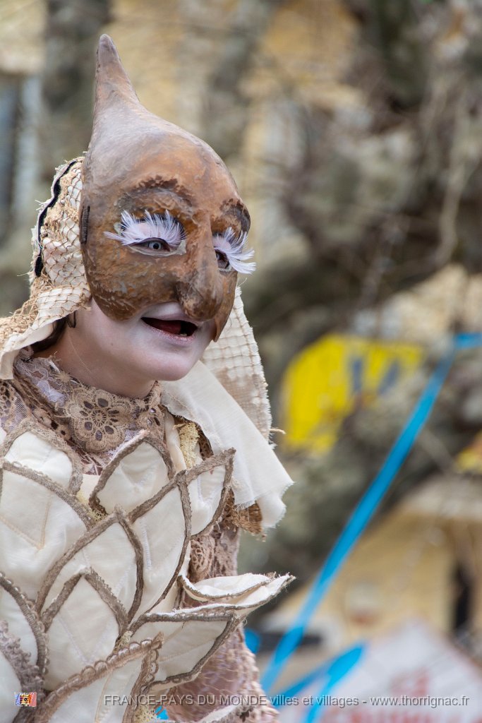 Carnaval Saint Raphael 10 fevrier 2019 65.jpg