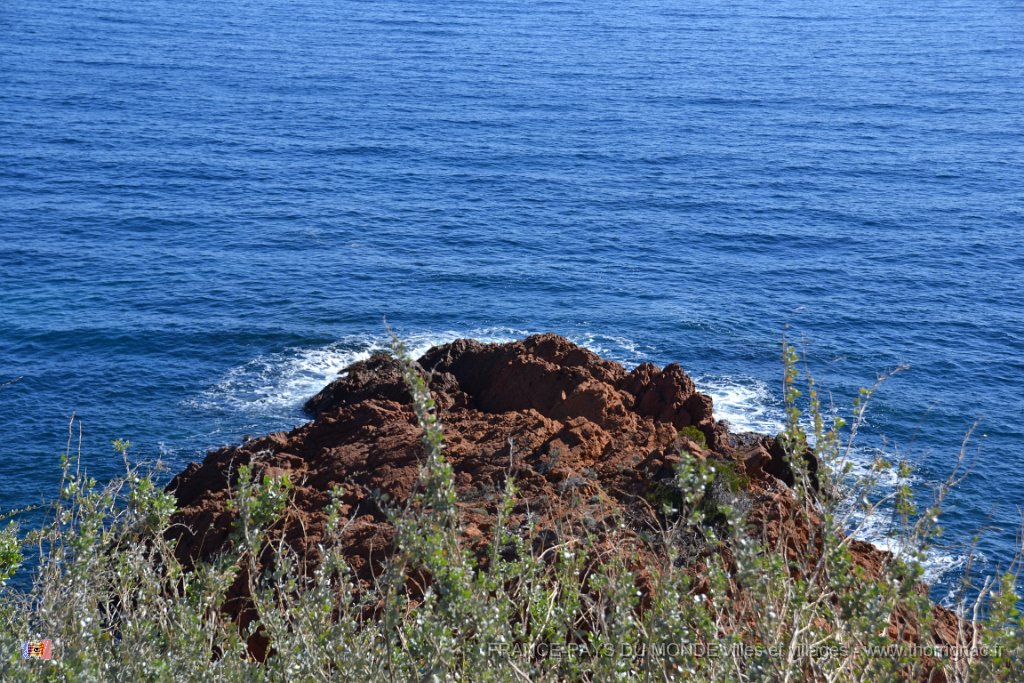 DSC0127.JPG - La corniche d'Or entre Agay et Le Trayas. 26 février 2015.