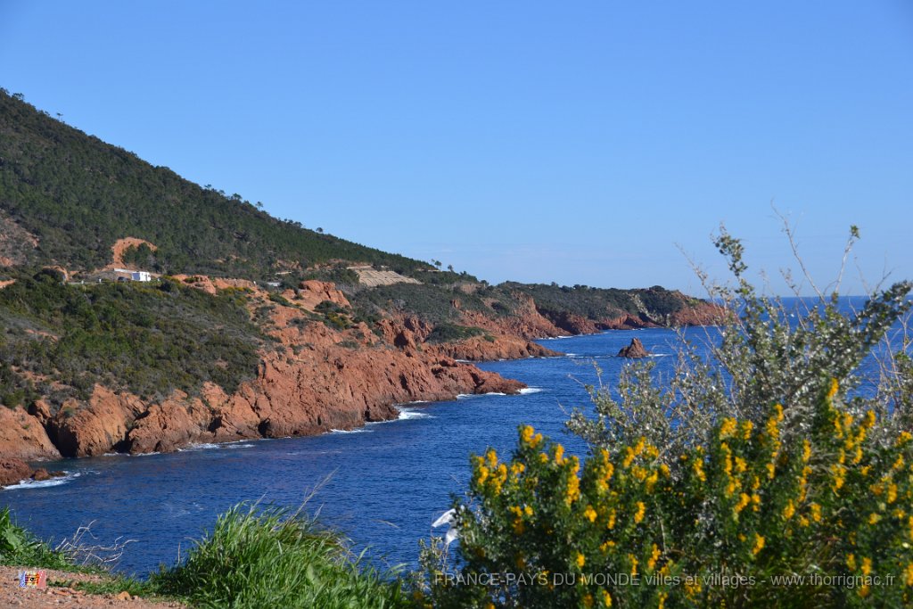 DSC0128.JPG - La corniche d'Or entre Agay et Le Trayas. 26 février 2015.