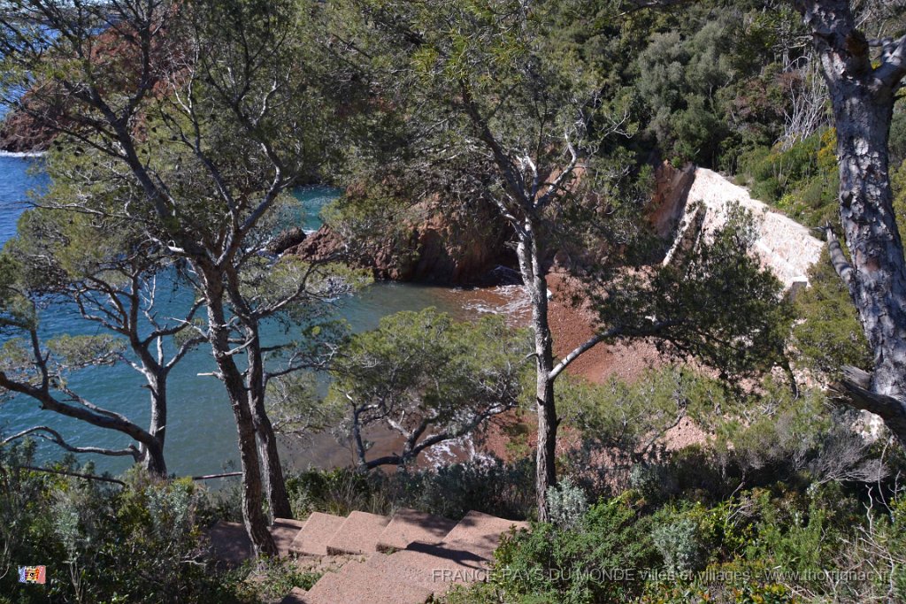 DSC0166.JPG - La corniche d'Or entre Agay et Le Trayas.La calanque St-Barthélémy. 26 février 2015.