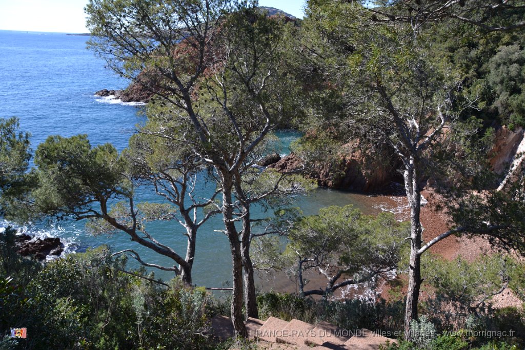 DSC0167.JPG - La corniche d'Or entre Agay et Le Trayas. 26 février 2015.