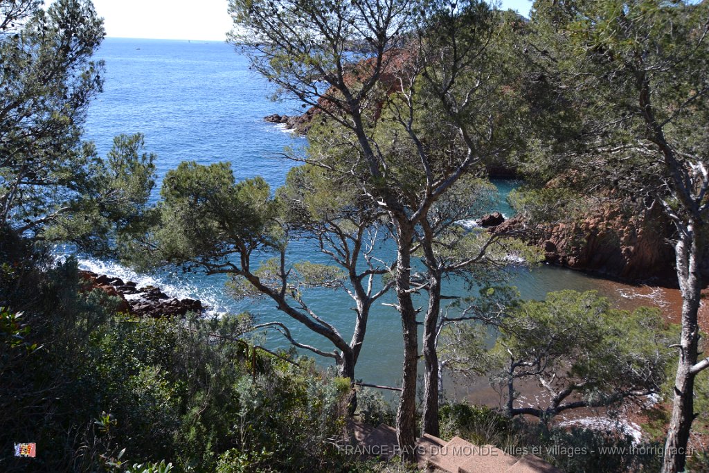 DSC0168.JPG - La corniche d'Or entre Agay et Le Trayas. 26 février 2015.