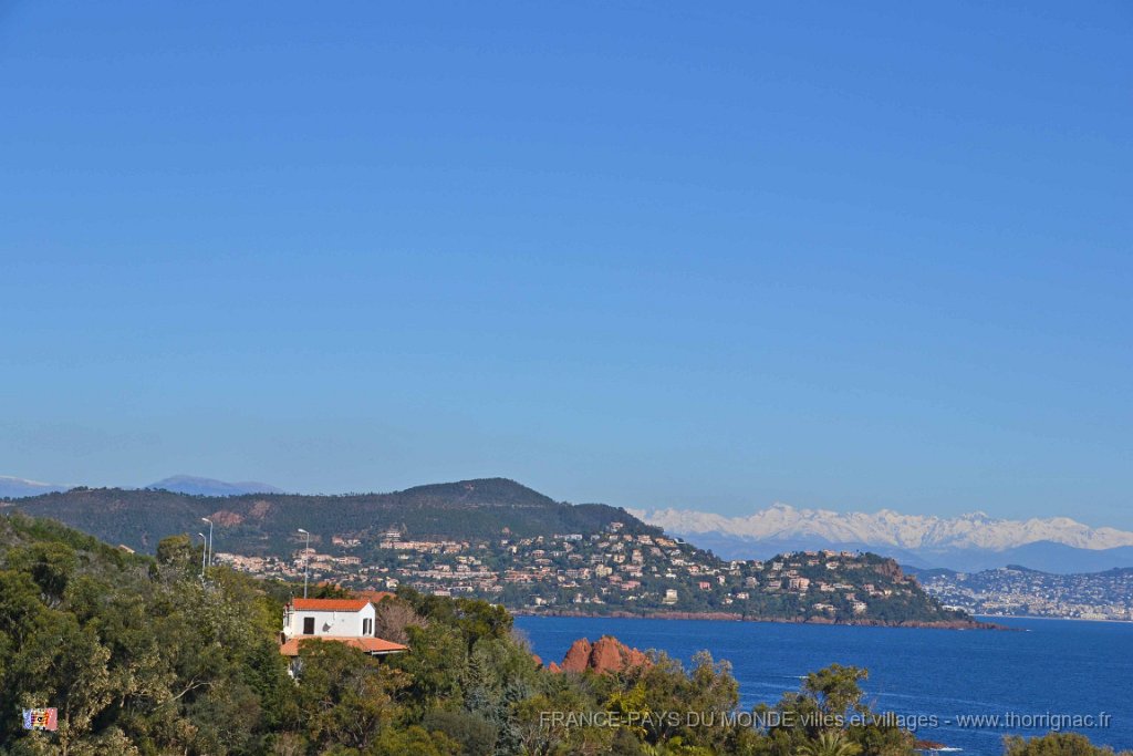 DSC0213.JPG - La corniche d'Or entre Agay et Le Trayas. 26 février 2015.