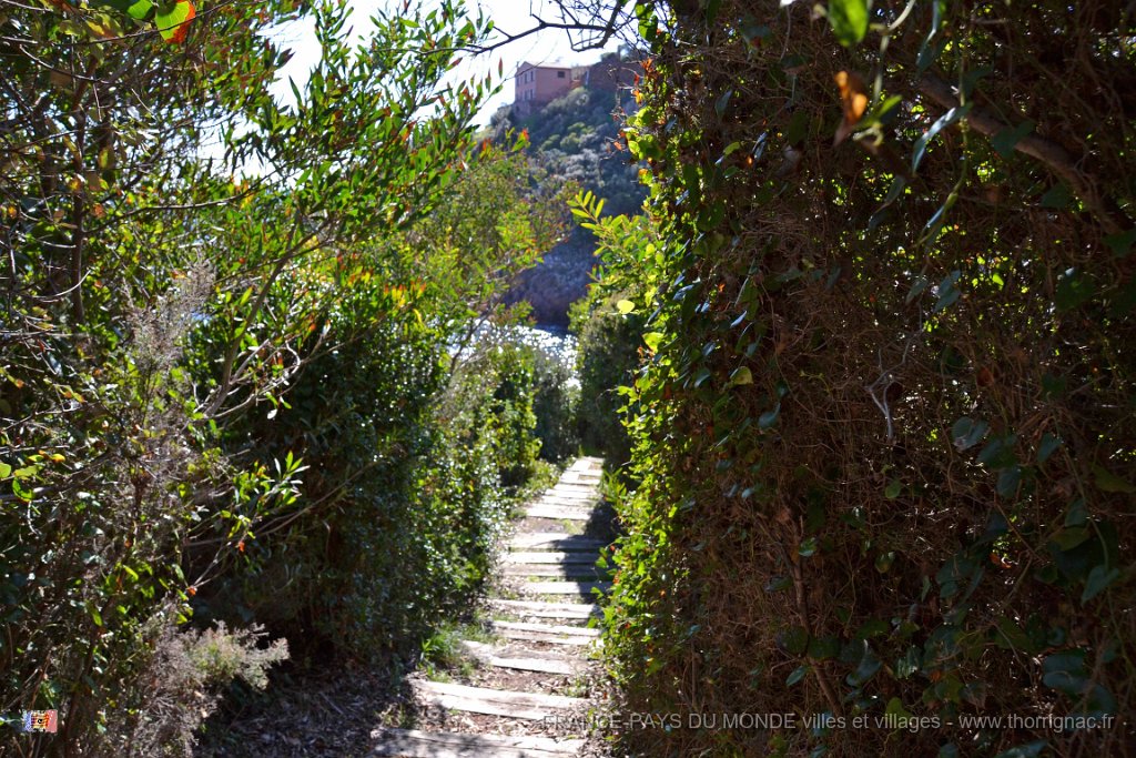 DSC0233.JPG - La corniche d'Or entre Agay et Le Trayas.Accès à la Calanque de l'Aurelle.26 février 2015.