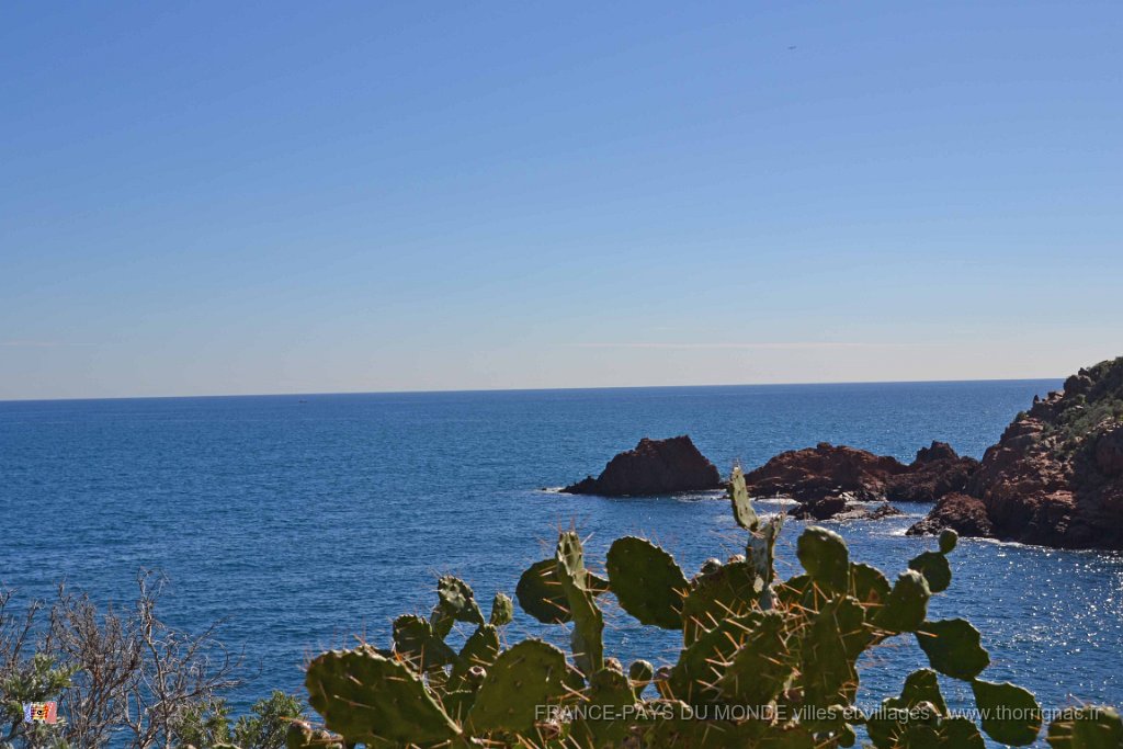 DSC0254.JPG - La corniche d'Or entre Agay et Le Trayas. 26 février 2015.