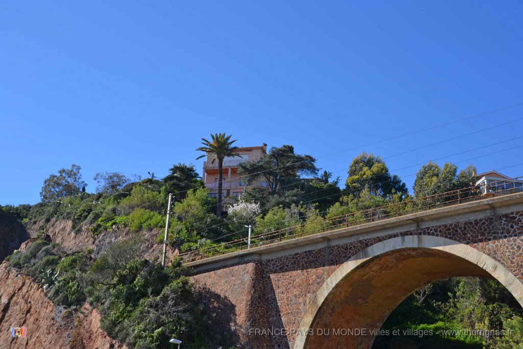 DSC0261.JPG - La corniche d'Or entre Agay et Le Trayas. 26 février 2015.