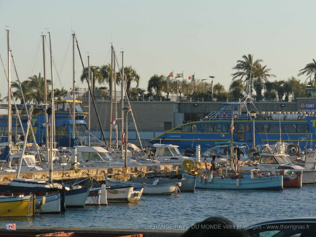 DSCF6995.JPG - Le vieux port et le quai des pêcheurs professionnels