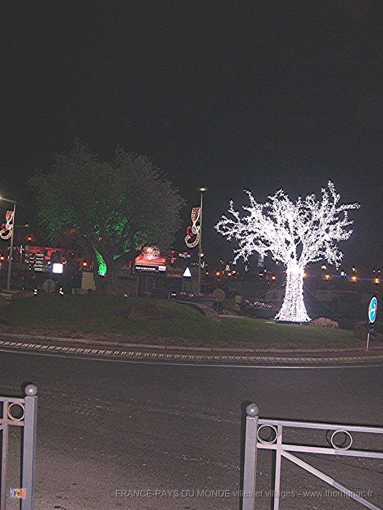 DSCN2703.JPG - Illuminations 2010.