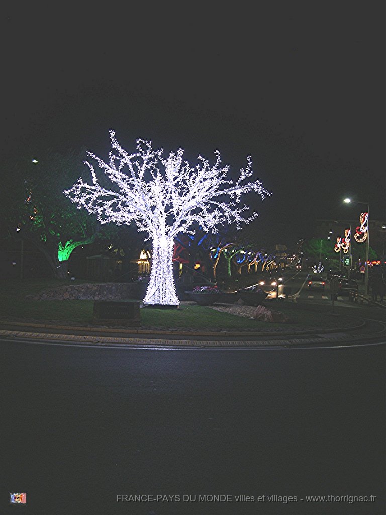 DSCN2761.JPG - Illuminations 2010.