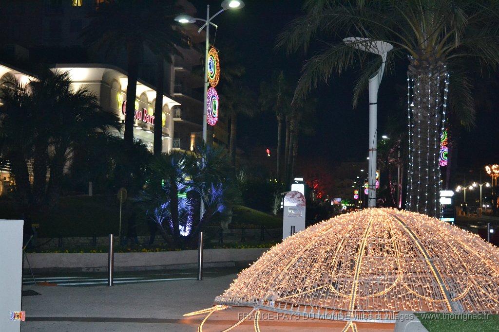 DSC 0042.JPG - Illuminations 2011.