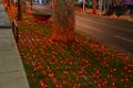DSC0008