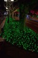 DSC0012