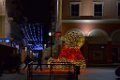DSC0019