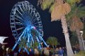 DSC0074
