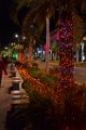DSC0090