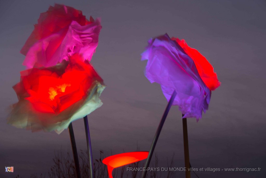 Illuminations St Raphael fin 2017 28.jpg - Saint-Raphaël (83) - Fin d'année 2017.