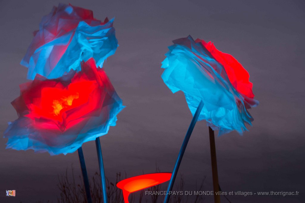 Illuminations St Raphael fin 2017 29.jpg - Saint-Raphaël (83) - Fin d'année 2017.