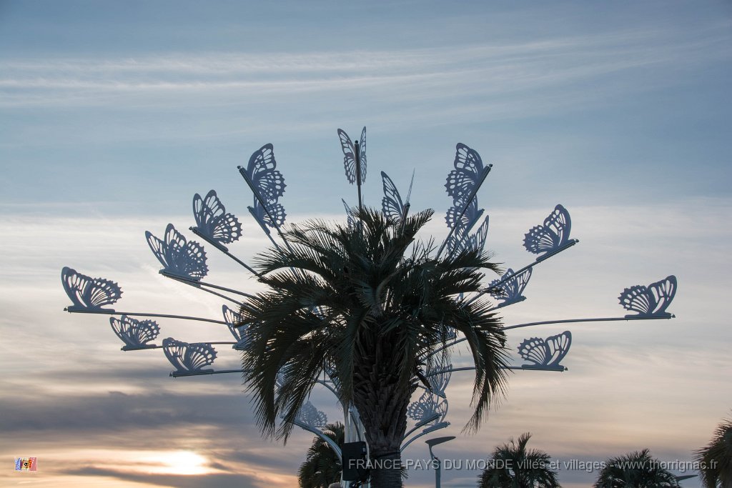 Illuminations St Raphael fin 2017 4.jpg - Saint-Raphaël (83) - Fin d'année 2017.