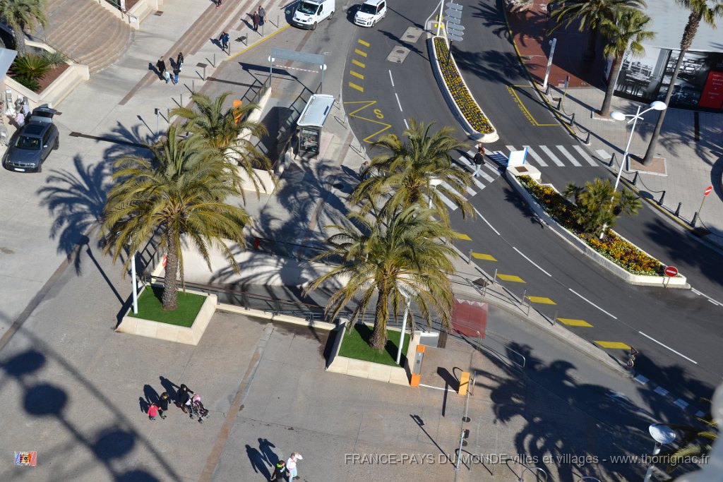DSC0054.JPG - Esplanade Ledoyen.26 février 2015