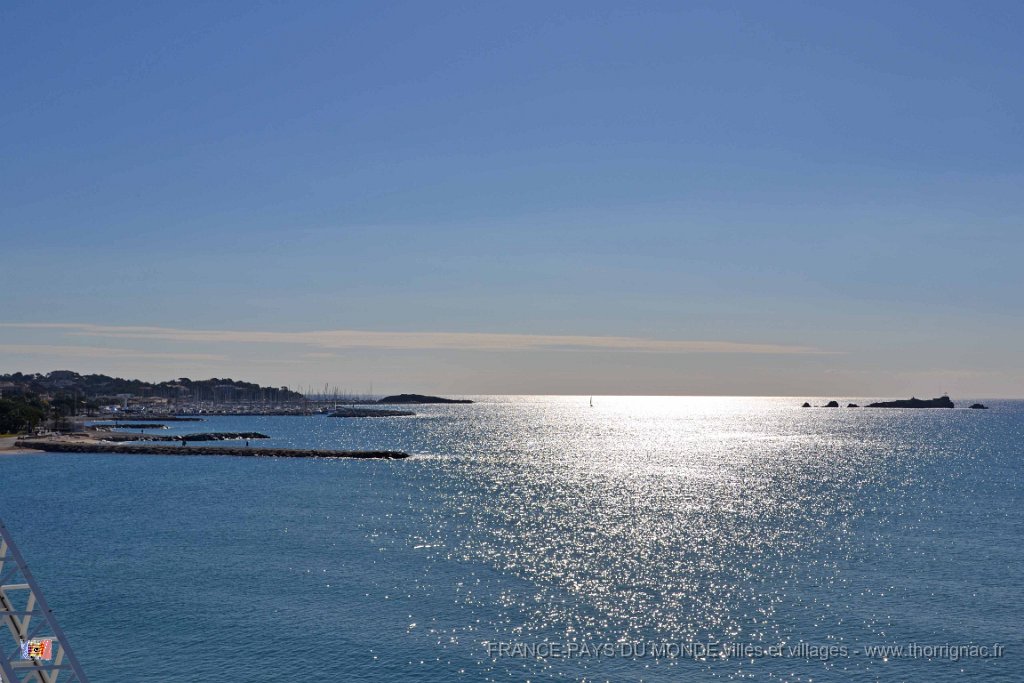 DSC0082.JPG - Vue sur le port de Santa Lucia et sur le Lion de mer.26 février 2015