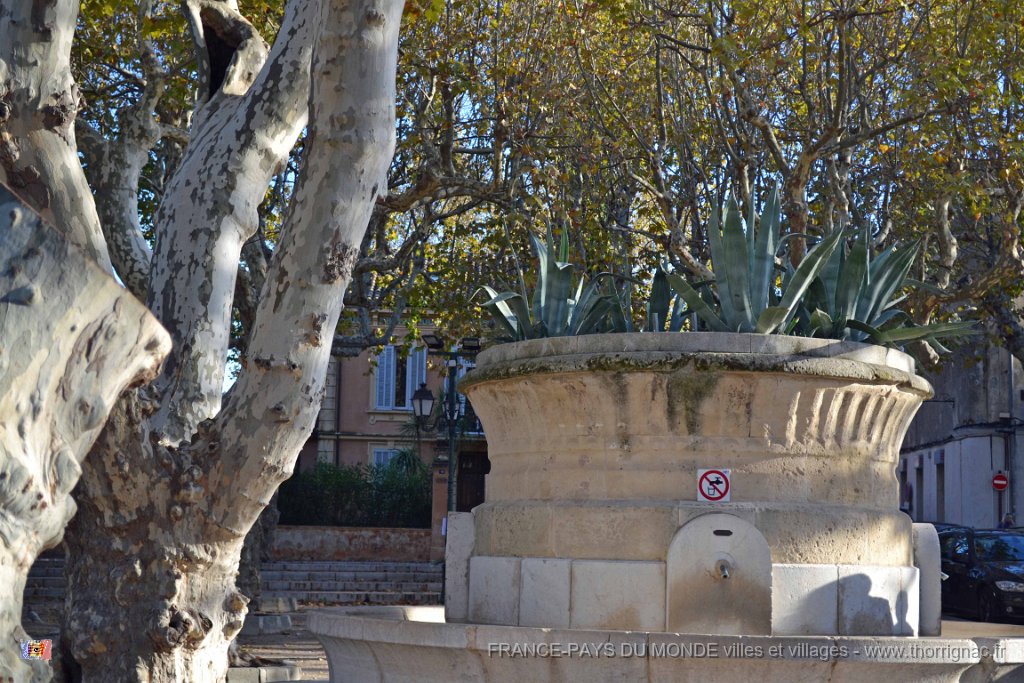 DSC 0090.JPG - Vasque sur la place des Lices