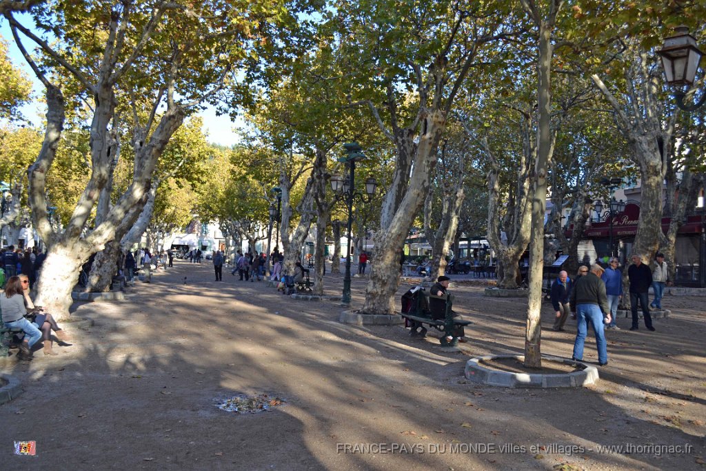 DSC 0091.JPG - La place des Lices