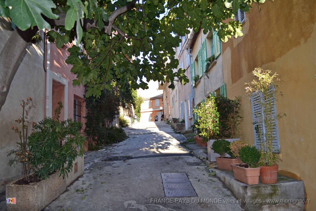 Rue de la Treille.JPG - Rue de la Treille