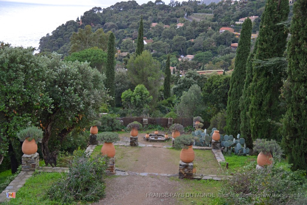 Domaine du Rayol  2 canton de St tropez.JPG - Domaine du Rayol, canton de St tropez. Le 05 décembre 2014 sous la pluie.