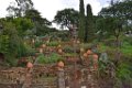 Domaine du Rayol  1 canton de St tropez