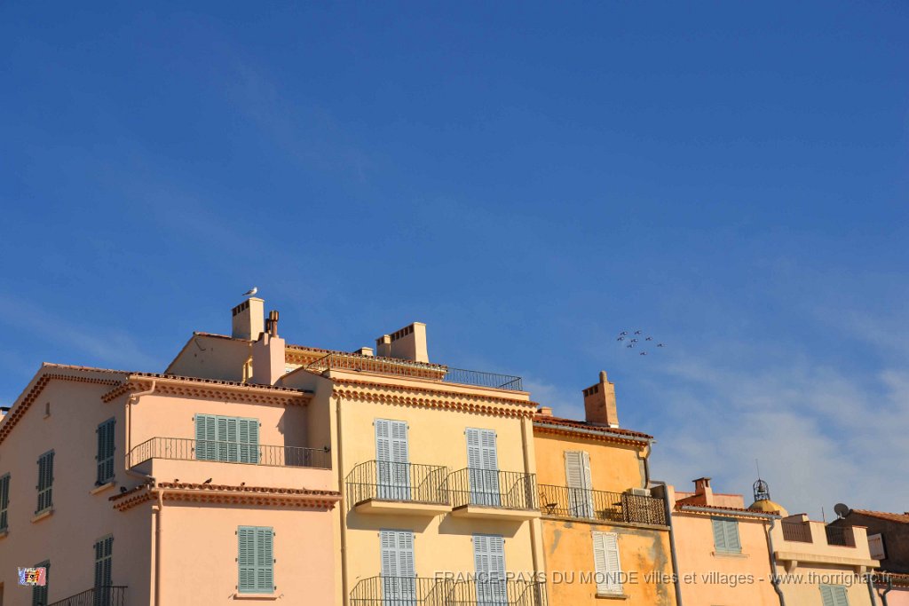 Saint Tropez 10 octobre 2015 188.JPG - Saint-Tropez. La patrouille de France lors d'un meeting à Sainte-Maxime. 10 octobre 2015.