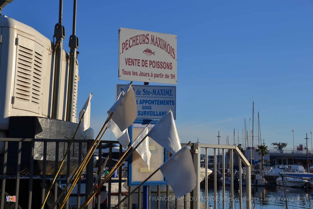 Sainte Maxime  01 12 2013  19.JPG - Sainte-Maxime (83). 01 décembre 2013