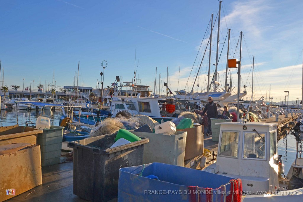 Sainte Maxime  01 12 2013  20.JPG - Sainte-Maxime (83). 01 décembre 2013