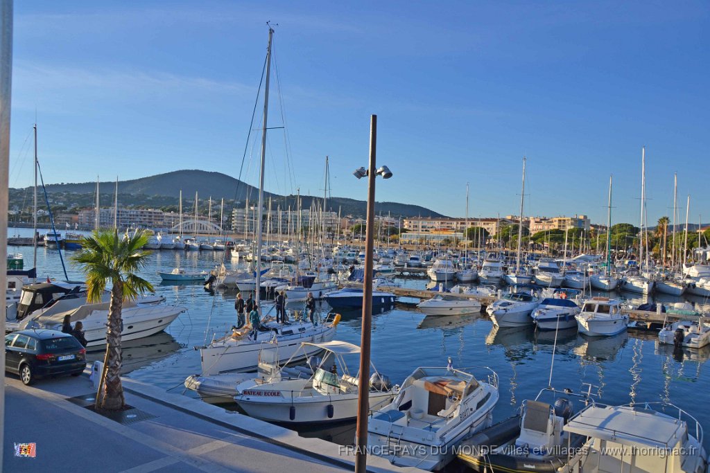 Sainte Maxime  01 12 2013  35.JPG - Sainte-Maxime (83). 01 décembre 2013