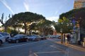 Sainte Maxime  01 12 2013  59