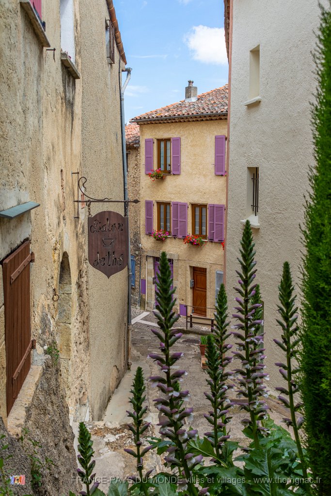 Tourrettes 83 26 05 21 7.jpg - Tourrettes (83) - 26/05/21