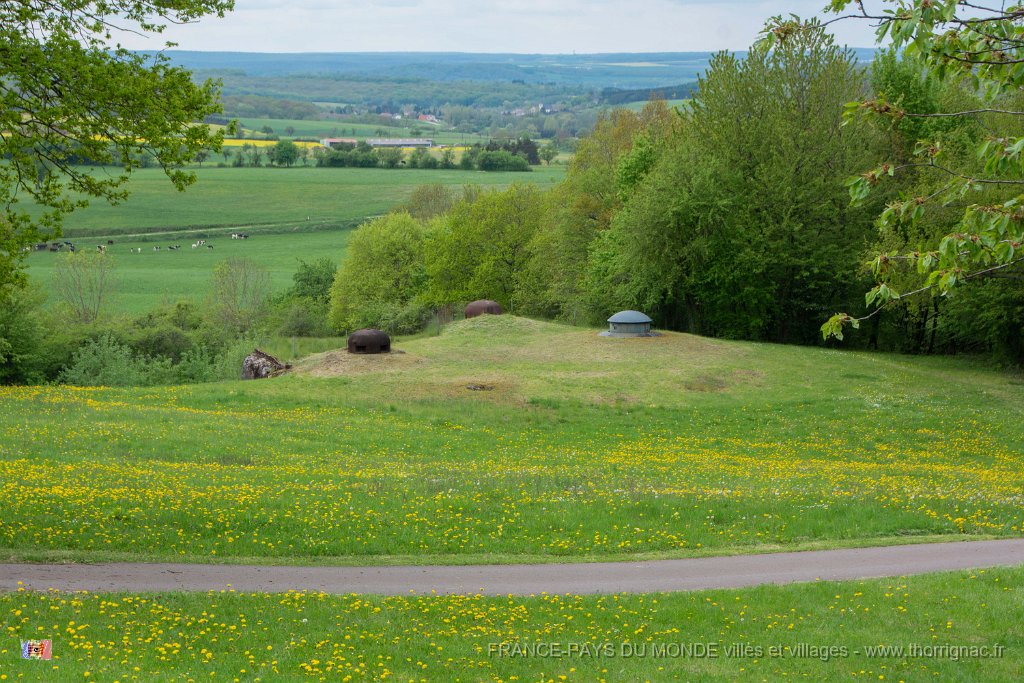 Le Hackenberg mai 2019 77.jpg - Veckring (57) - Le Hachenberg - Ligne Maginot - Mai 2019