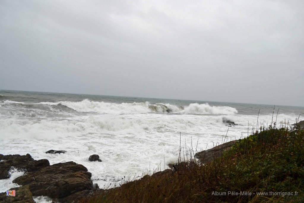 DSC_0012.JPG - Le 31 octobre 2012 à saint-Aygulf (83)